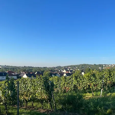 Апартаменты Im Geyserhof *