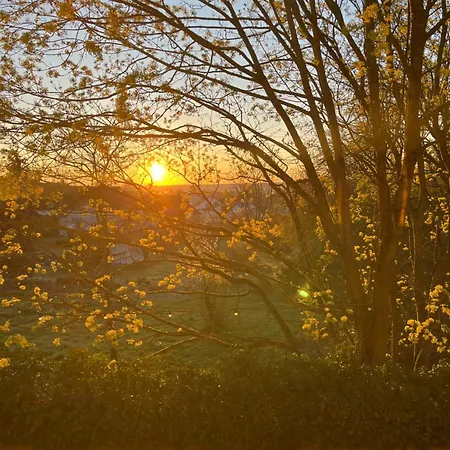 Im Geyserhof *
