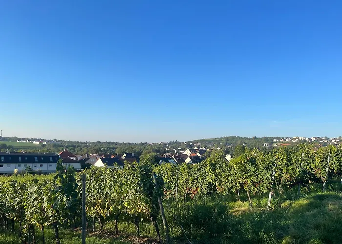 Lejlighed Im Geyserhof *